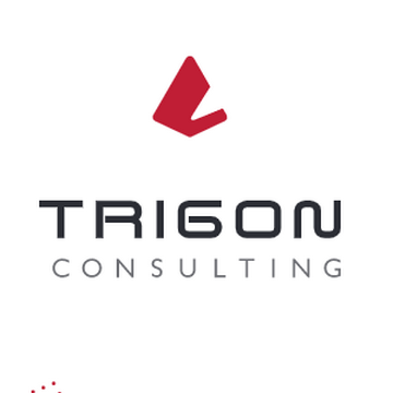 TRIGON Consulting  logo